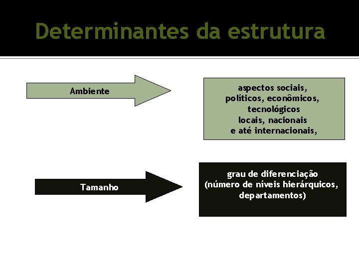 Determinantes da estrutura Ambiente Tamanho aspectos sociais, políticos, econômicos, tecnológicos locais, nacionais e até Determinantes da estrutura Ambiente Tamanho aspectos sociais, políticos, econômicos, tecnológicos locais, nacionais e até