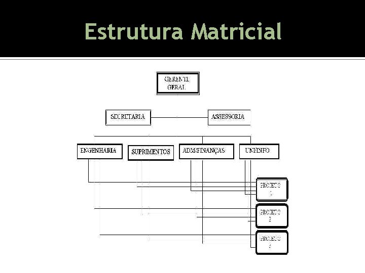 Estrutura Matricial Estrutura Matricial