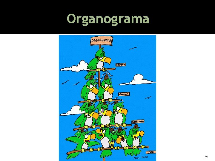 Organograma 50 Organograma 50