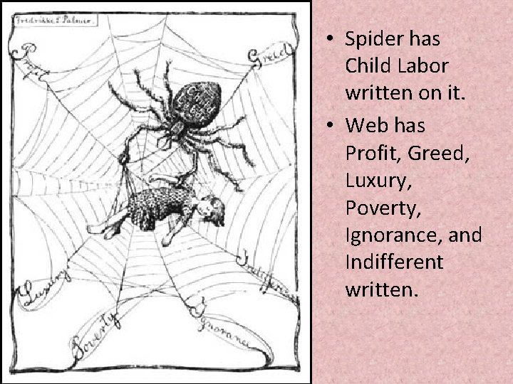  • Spider has Child Labor written on it. • Web has Profit, Greed,