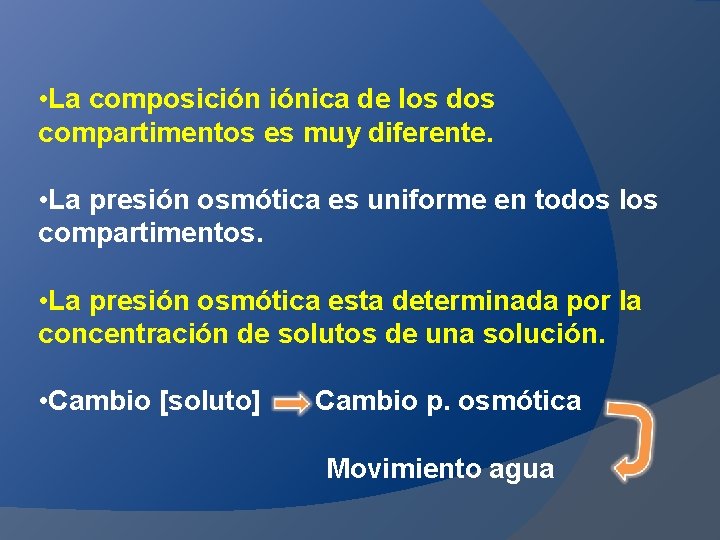  • La composición iónica de los dos compartimentos es muy diferente. • La