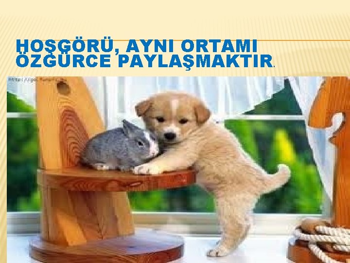 HOŞGÖRÜ, AYNI ORTAMI ÖZGÜRCE PAYLAŞMAKTIR. HOŞGÖRÜ, AYNI ORTAMI ÖZGÜRCE PAYLAŞMAKTIR.