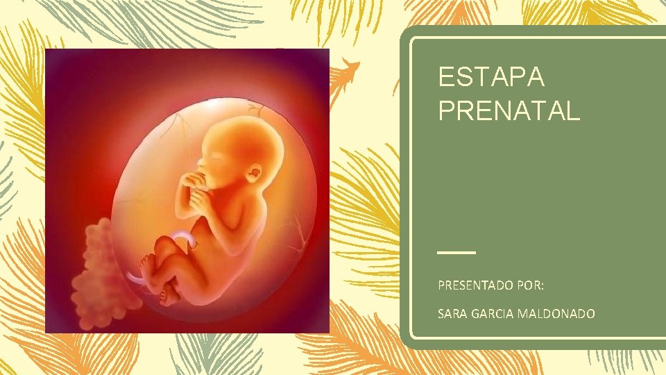 ESTAPA PRENATAL PRESENTADO POR: SARA GARCIA MALDONADO 