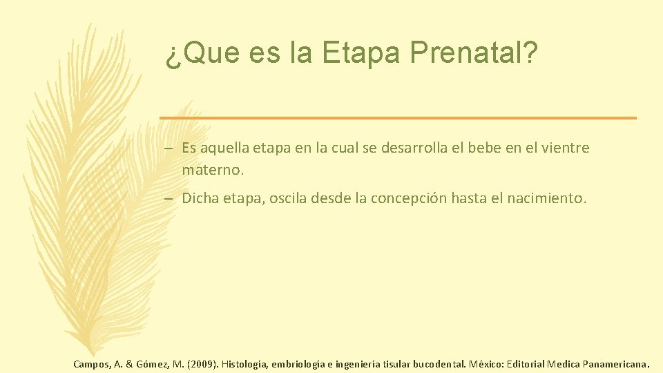 ¿Que es la Etapa Prenatal? – Es aquella etapa en la cual se desarrolla