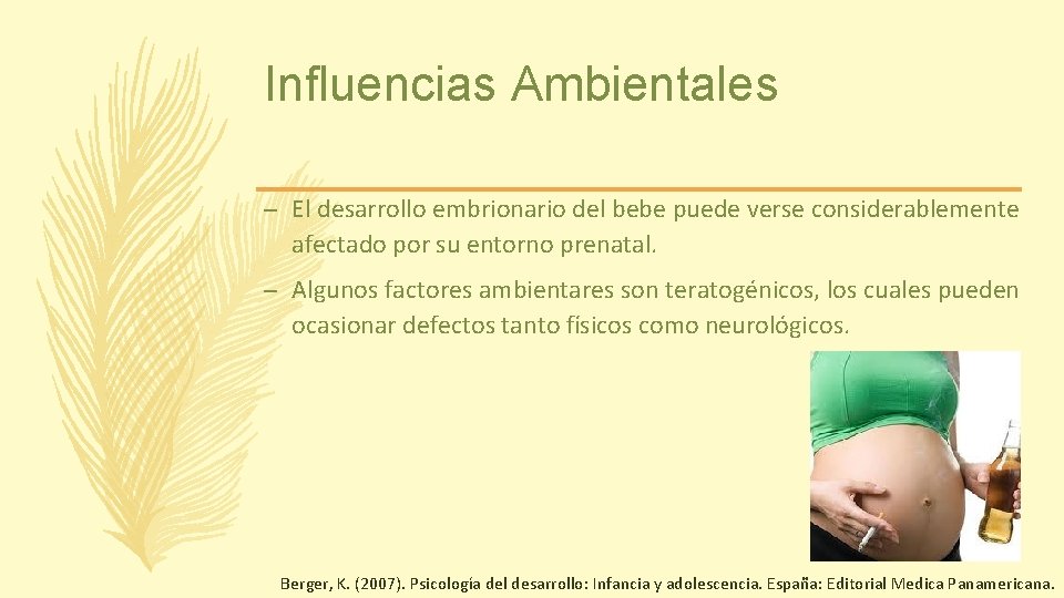 Influencias Ambientales – El desarrollo embrionario del bebe puede verse considerablemente afectado por su