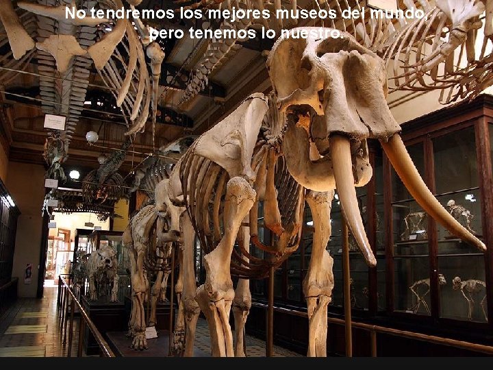 No tendremos los mejores museos del mundo, pero tenemos lo nuestro. 