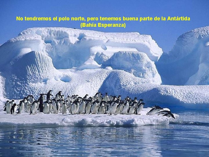 No tendremos el polo norte, pero tenemos buena parte de la Antártida (Bahía Esperanza)