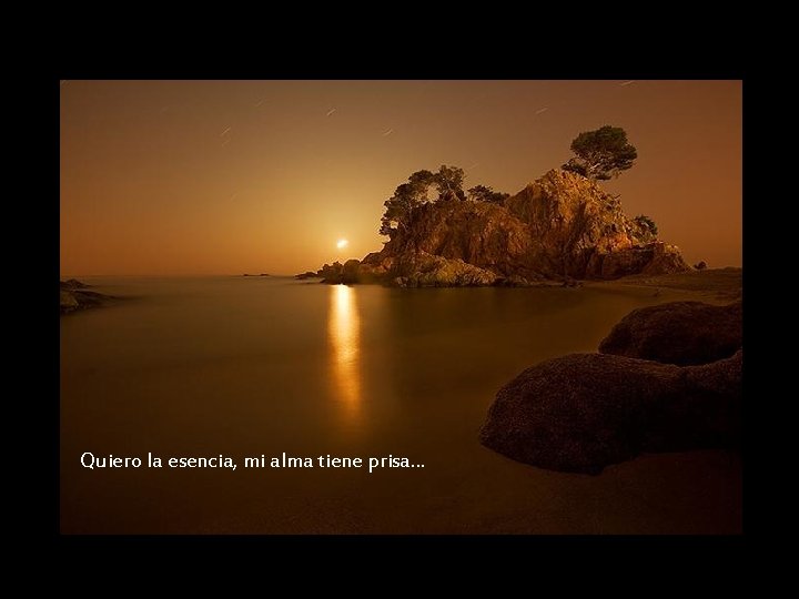 Quiero la esencia, mi alma tiene prisa… 