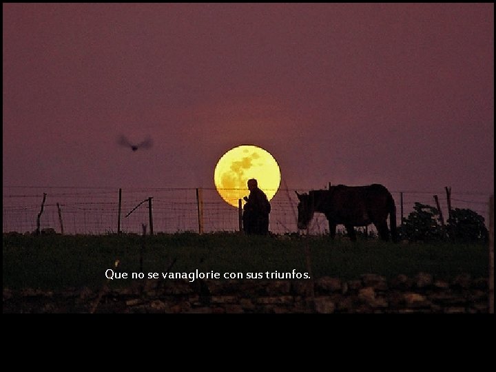 Que no se vanaglorie con sus triunfos. 