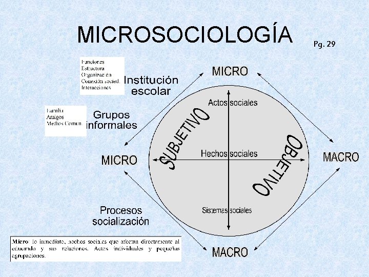 MICROSOCIOLOGÍA Pg. 29 