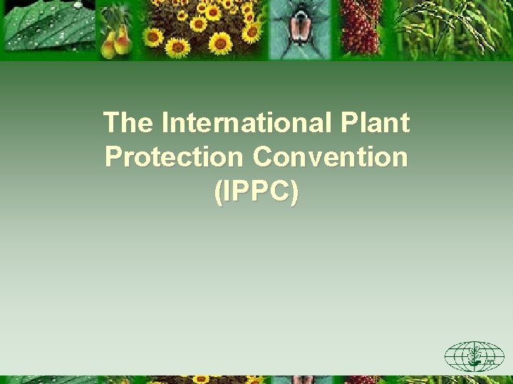 The International Plant Protection Convention (IPPC) 