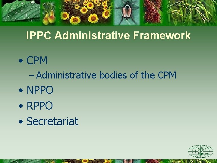 IPPC Administrative Framework • CPM – Administrative bodies of the CPM • NPPO •