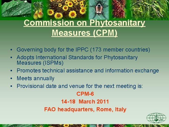 Commission on Phytosanitary Measures (CPM) • Governing body for the IPPC (173 member countries)