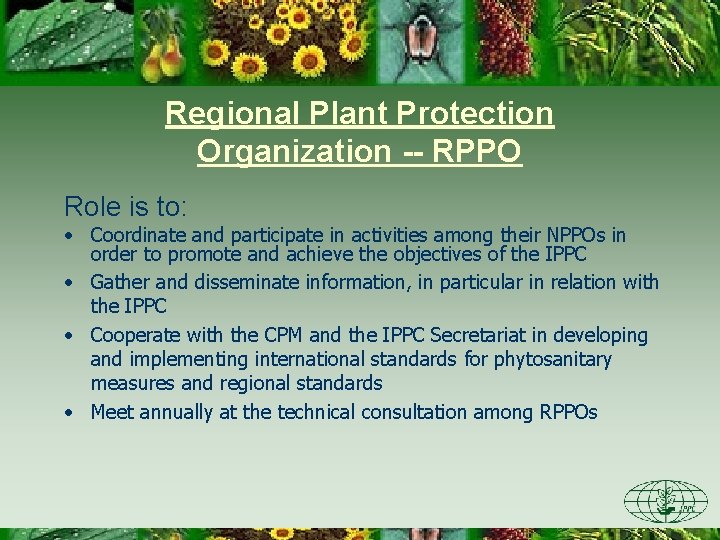 Regional Plant Protection Organization -- RPPO Role is to: • Coordinate and participate in