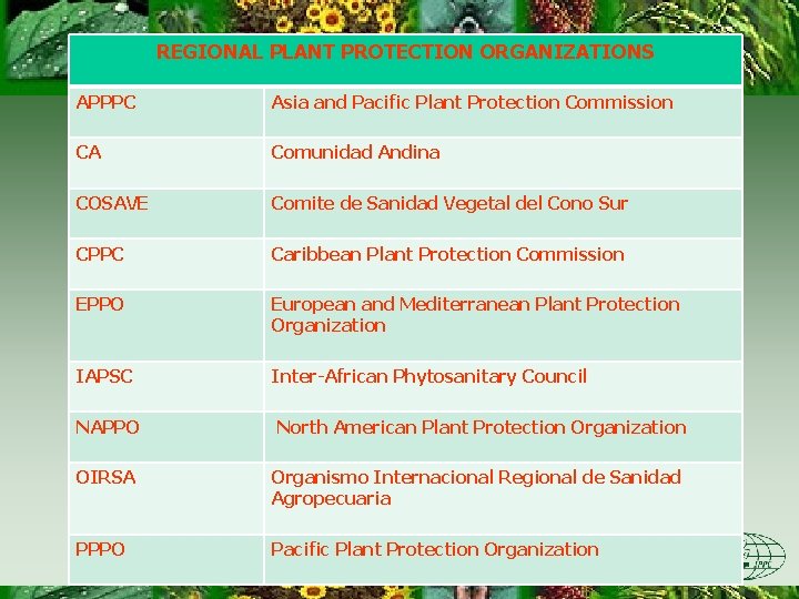 REGIONAL PLANT PROTECTION ORGANIZATIONS APPPC Asia and Pacific Plant Protection Commission CA Comunidad Andina