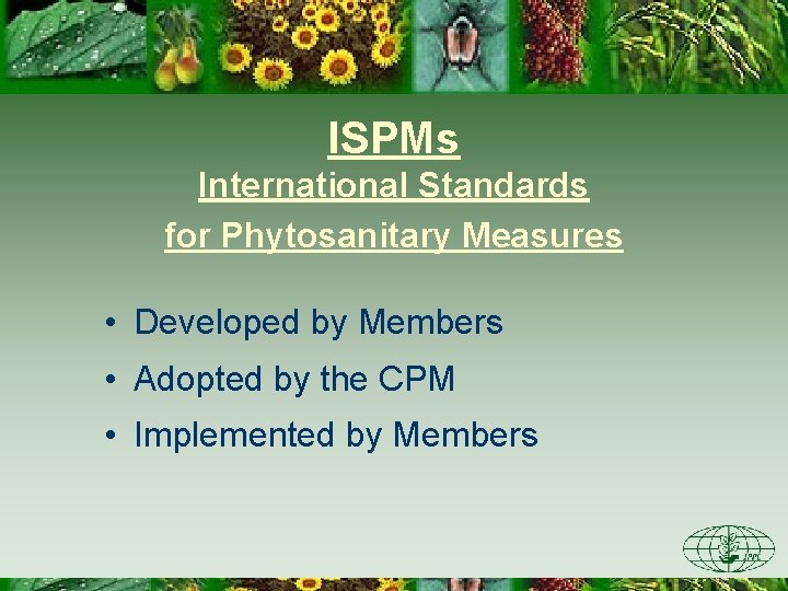 ISPMs International Standards for Phytosanitary Measures • Developed by Members • Adopted by the