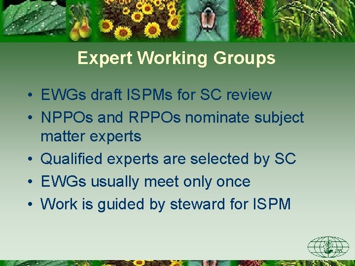 Expert Working Groups • EWGs draft ISPMs for SC review • NPPOs and RPPOs