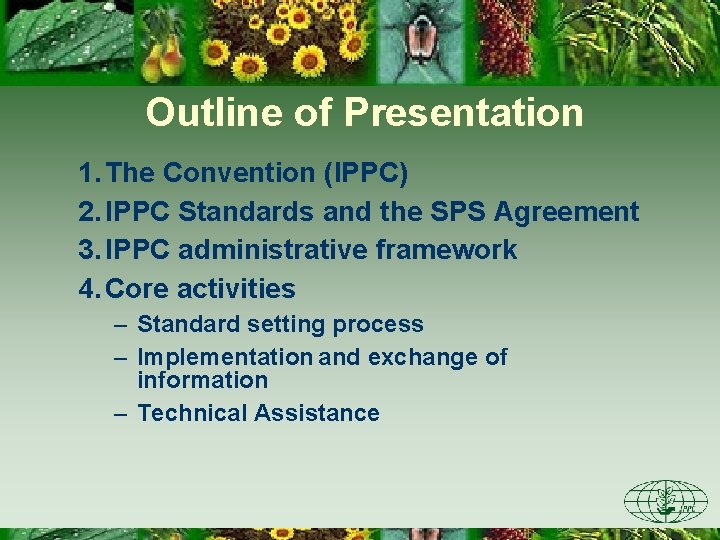 Outline of Presentation 1. The Convention (IPPC) 2. IPPC Standards and the SPS Agreement