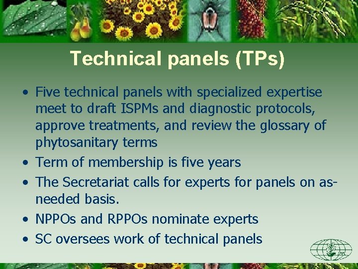 Technical panels (TPs) • Five technical panels with specialized expertise meet to draft ISPMs