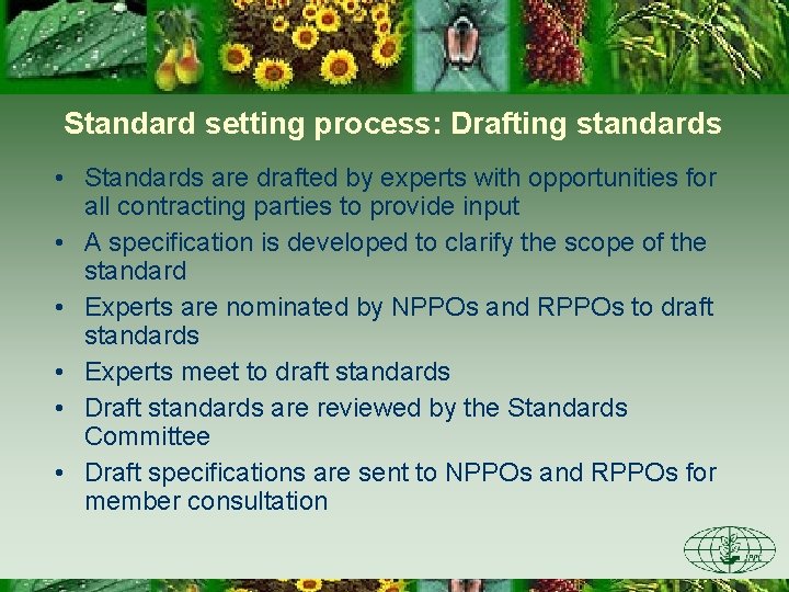 Standard setting process: Drafting standards • Standards are drafted by experts with opportunities for