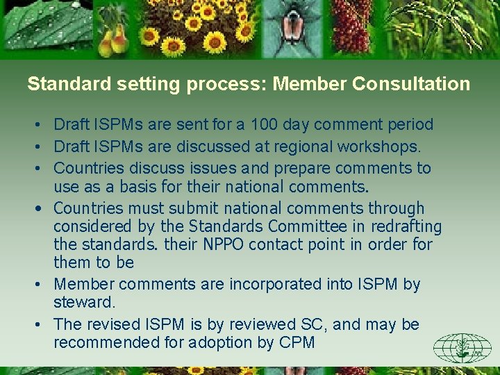 Standard setting process: Member Consultation • Draft ISPMs are sent for a 100 day
