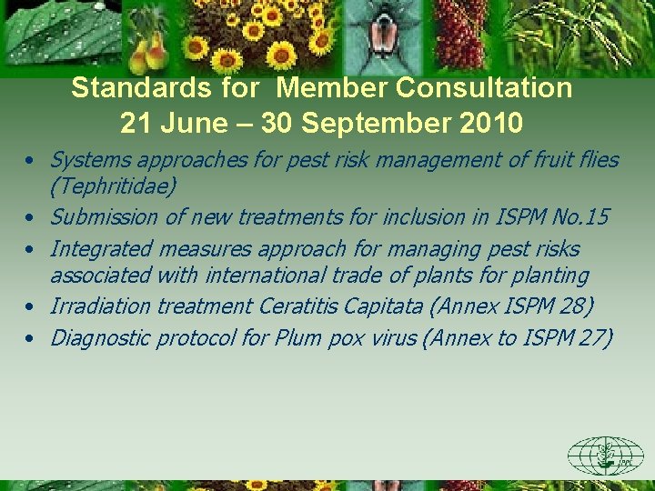 Standards for Member Consultation 21 June – 30 September 2010 • Systems approaches for