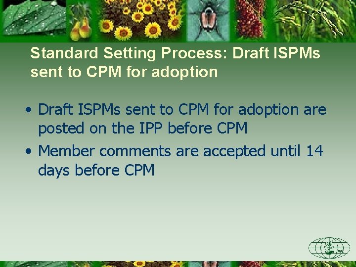 Standard Setting Process: Draft ISPMs sent to CPM for adoption • Draft ISPMs sent