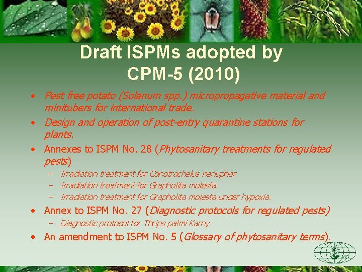 Draft ISPMs adopted by CPM-5 (2010) • Pest free potato (Solanum spp. ) micropropagative