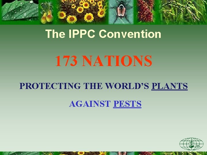 The IPPC Convention 173 NATIONS PROTECTING THE WORLD’S PLANTS AGAINST PESTS 