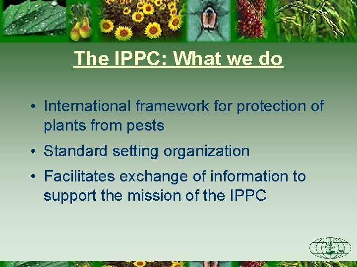 The IPPC: What we do • International framework for protection of plants from pests