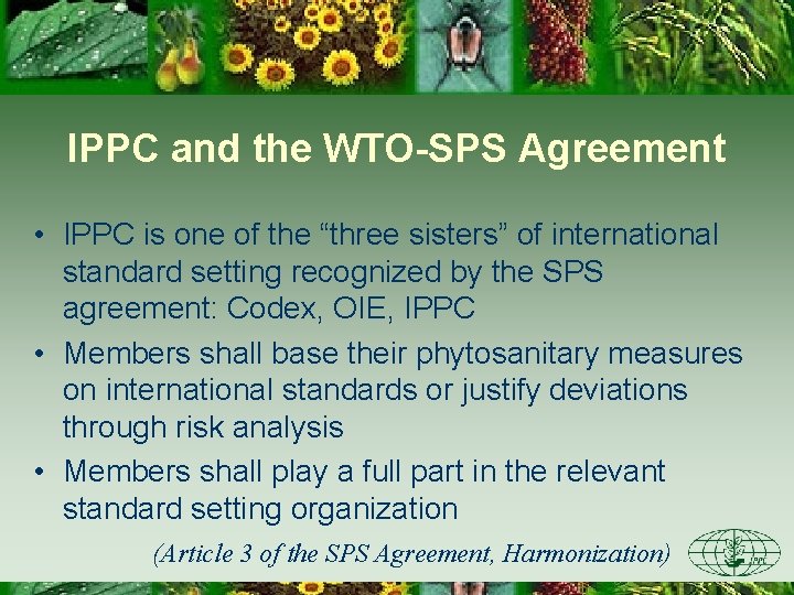 IPPC and the WTO-SPS Agreement • IPPC is one of the “three sisters” of