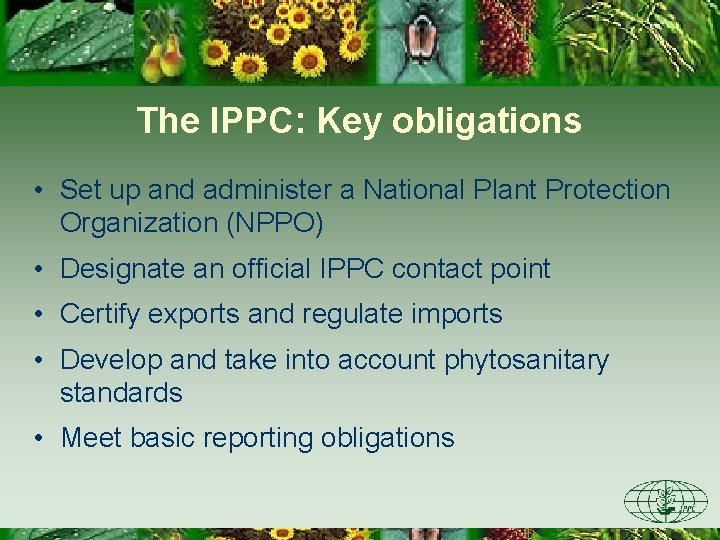 The IPPC: Key obligations • Set up and administer a National Plant Protection Organization