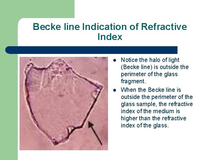 Becke line Indication of Refractive Index l l Notice the halo of light (Becke