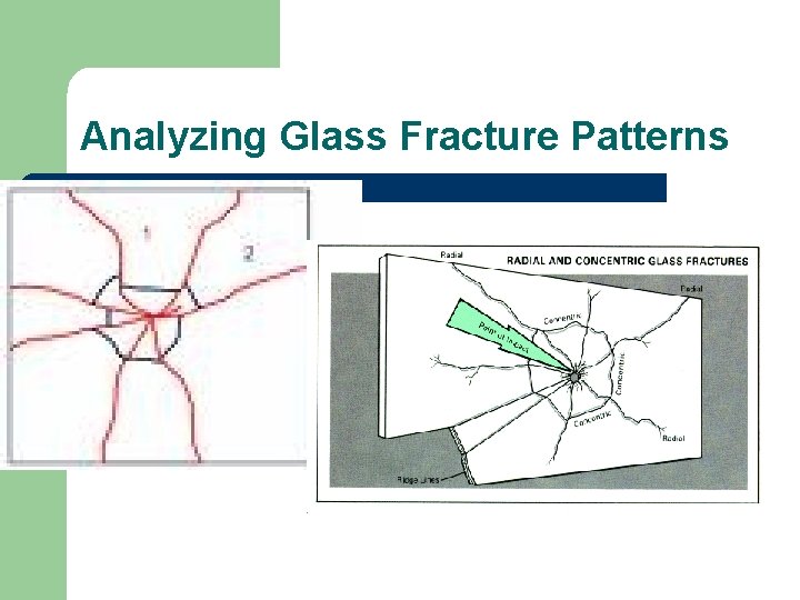 Analyzing Glass Fracture Patterns 