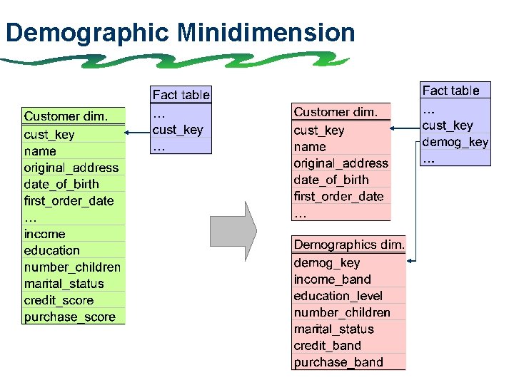 Demographic Minidimension 