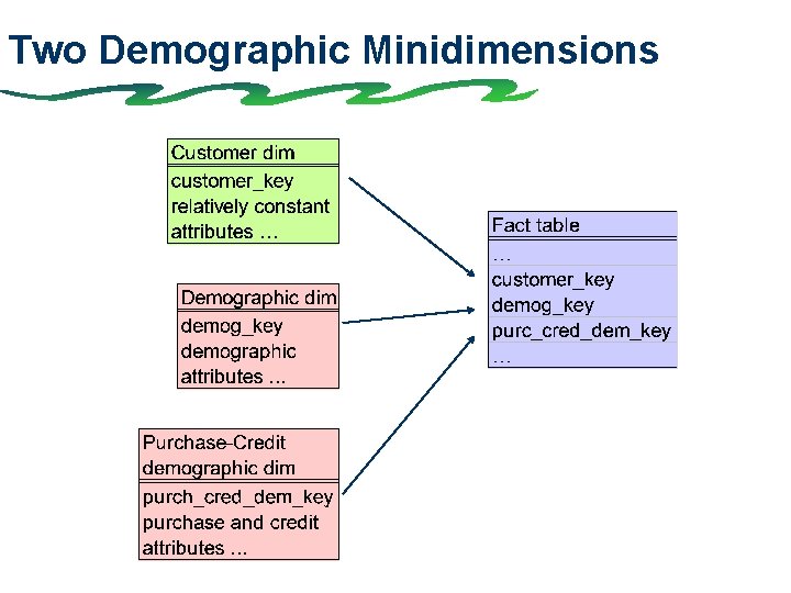 Two Demographic Minidimensions 