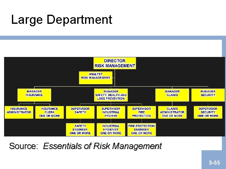 Large Department Source: Essentials of Risk Management 3 -55 Large Department Source: Essentials of Risk Management 3 -55
