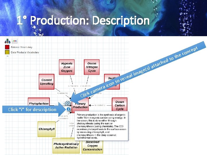 1° Production: Description he ch am ck c e Click "i" for description on