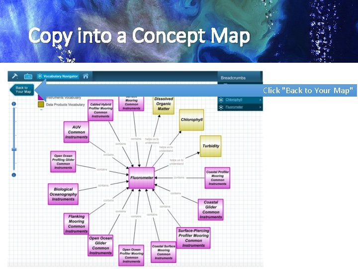 Copy into a Concept Map Click "Back to Your Map" 