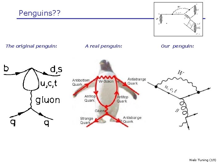 Penguins? ? The original penguin: A real penguin: Our penguin: Niels Tuning (19) 