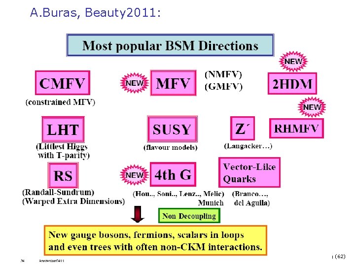 A. Buras, Beauty 2011: Niels Tuning (62) 