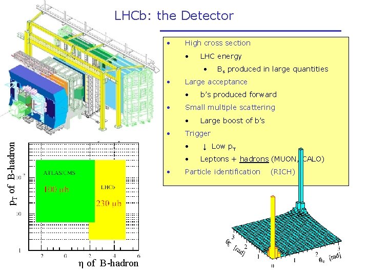 LHCb: the Detector • High cross section • LHC energy • • Large acceptance