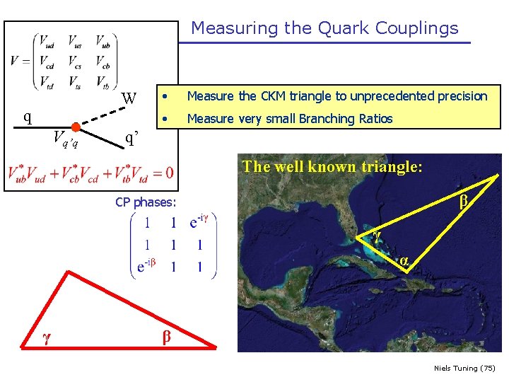 Measuring the Quark Couplings W q Vq’q • Measure the CKM triangle to unprecedented