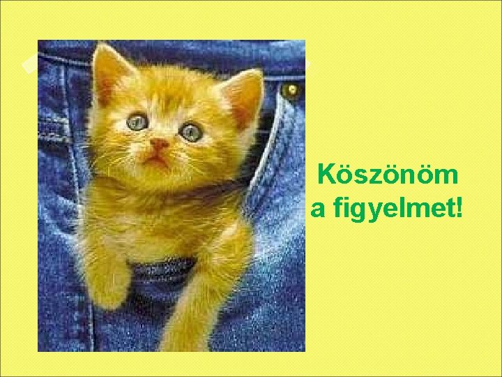 Köszönöm a figyelmet! 