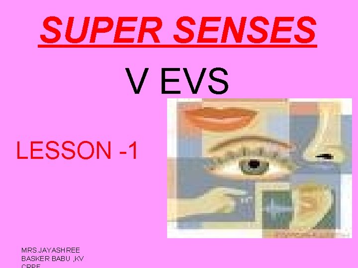 SUPER SENSES V EVS LESSON -1 MRS. JAYASHREE BASKER BABU , KV 