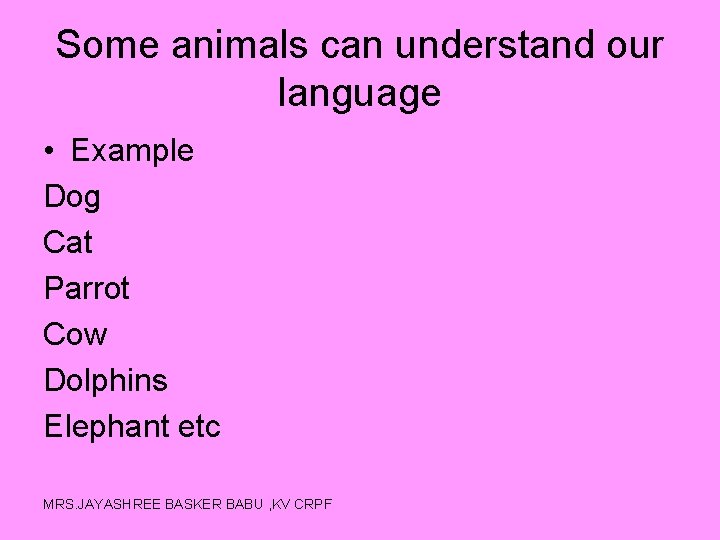 Some animals can understand our language • Example Dog Cat Parrot Cow Dolphins Elephant