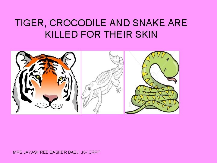 TIGER, CROCODILE AND SNAKE ARE KILLED FOR THEIR SKIN MRS. JAYASHREE BASKER BABU ,