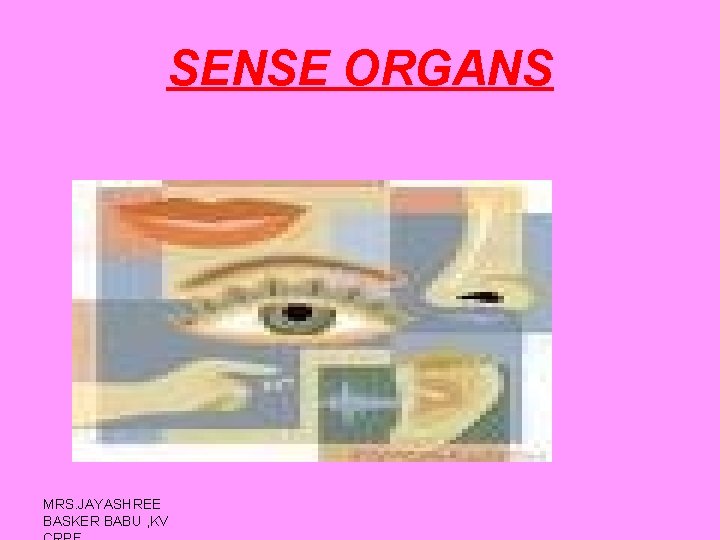 SENSE ORGANS MRS. JAYASHREE BASKER BABU , KV 