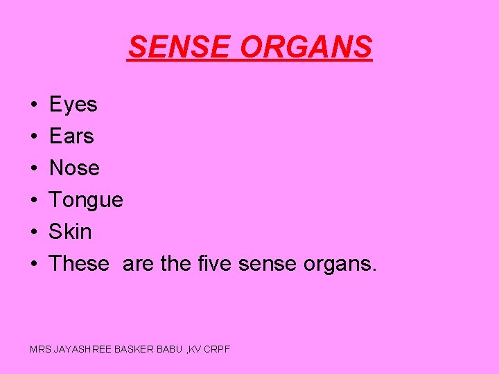 SENSE ORGANS • • • Eyes Ears Nose Tongue Skin These are the five