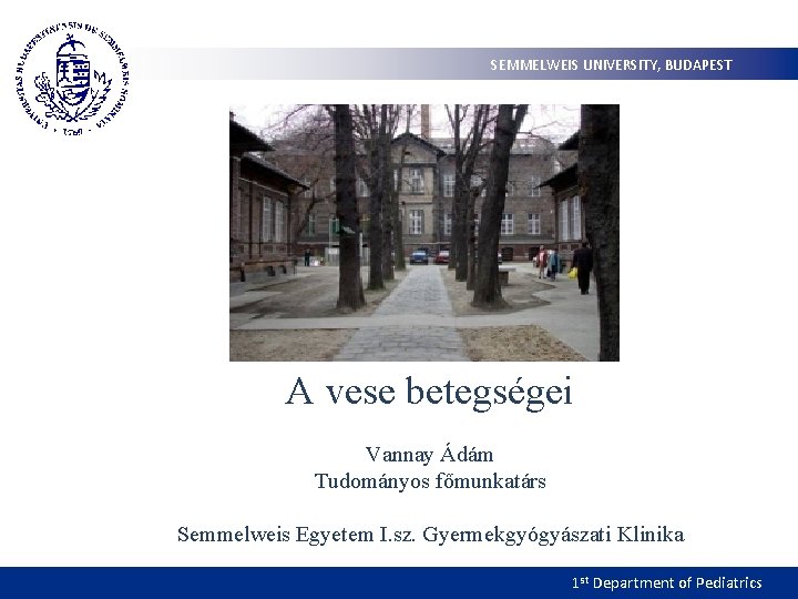 SEMMELWEIS UNIVERSITY, BUDAPEST A vese betegségei Vannay Ádám Tudományos főmunkatárs Semmelweis Egyetem I. sz.